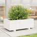 Garden Planter in White and Solid Wood Pine (70 x 40 x 26.5cm) - Little and Giant Explorers vidaXL