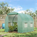 Green walk-in polytunnel greenhouse with roll-up door and side windows in a backyard garden