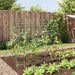 2 Garden Trellises for Climbing Plants in A-Frame and Steel - Little and Giant Explorers vidaXL