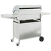 Gas BBQ Grill with 7 Burners in Silver and Stainless Steel - Little and Giant Explorers vidaXL