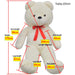 Measurement chart of a large teddy bear with labeled dimensions on a white background