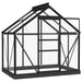 Glass Greenhouse – 155x103x191cm | Anthracite Aluminium and Steel Frame with 3mm Glass Panels VIDAXL - Little and Giant Explorers vidaXL