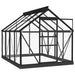 Glass Greenhouse – 155x200.5x191cm | Anthracite Aluminium and Steel Frame with 3mm Glass Panels VIDAXL - Little and Giant Explorers vidaXL