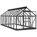 Glass Greenhouse – 155x395.5x191cm | Anthracite Aluminium and Steel Frame with 3mm Glass Panels VIDAXL - Little and Giant Explorers vidaXL