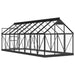 Glass Greenhouse – 155x395.5x191cm | Anthracite Aluminium and Steel Frame with 3mm Glass Panels VIDAXL - Little and Giant Explorers vidaXL