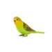 Green Budgerigar Toy - Realistic Exotic Bird Figurine | Educational Bird Model MOJO FUN - Little and Giant Explorers Mojo Fun