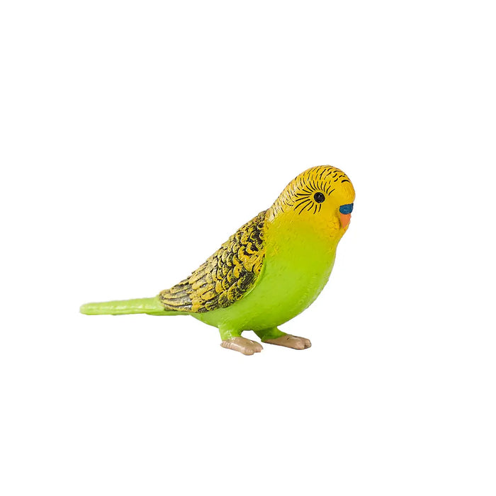 Green Budgerigar Toy - Realistic Exotic Bird Figurine | Educational Bird Model MOJO FUN - Little and Giant Explorers Mojo Fun