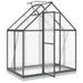 Greenhouse with Base Frame in Anthracite (169 x 114 x 202cm) - Little and Giant Explorers vidaXL