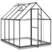 Greenhouse with Base Frame in Anthracite (224 x 169 x 202cm) - Little and Giant Explorers vidaXL