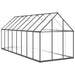 Greenhouse with Base Frame in Anthracite (445 x 169 x 195cm) - Little and Giant Explorers vidaXL