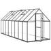 Greenhouse with Base Frame in Anthracite (445 x 169 x 195cm) - Little and Giant Explorers vidaXL