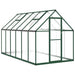 Greenhouse with Base Frame in Green (334 x 169 x 195cm) - Little and Giant Explorers vidaXL