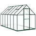 Greenhouse with Base Frame in Green (334 x 169 x 195cm) - Little and Giant Explorers vidaXL