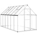 Greenhouse with Base Frame in Silver (334 x 169 x 195cm) - Little and Giant Explorers vidaXL