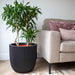 Grooved black recycled planter with green plant next to beige sofa in modern living room