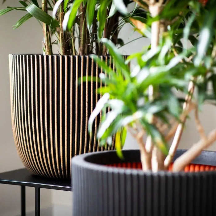 Grooved black planter with double-walled insulation holding leafy green plants indoors