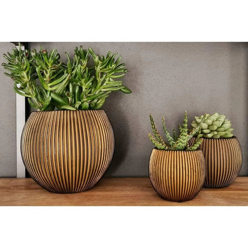 Groove gold ball vases three-piece set with succulents, natural rock-inspired texture.