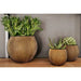 Groove gold ball vases three-piece set with succulents, natural rock-inspired texture.