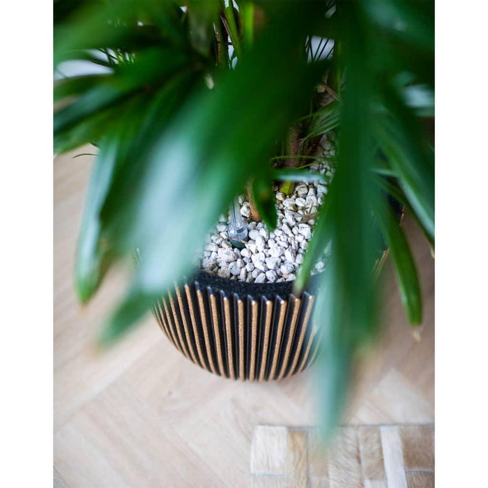 Groove Planter in Black and Gold (35 x 34cm) - Little and Giant Explorers Capi