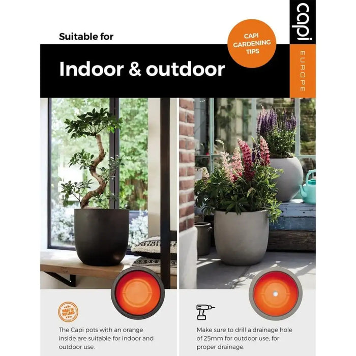 Modern indoor and outdoor black planter pots with plants by windows, Capi gardening tips visible.