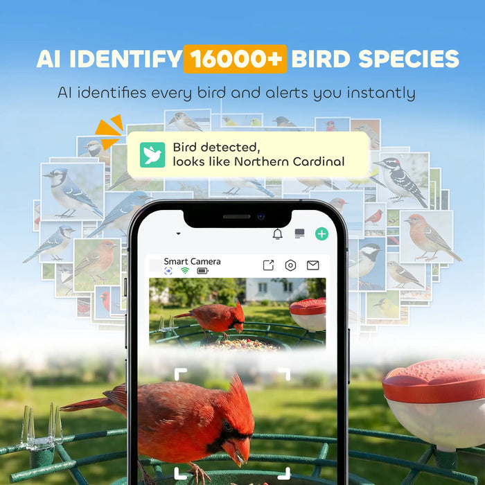 Smart Bird Feeder with Camera | 2K AI Bird Identification and Solar Power PAWHUT