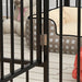 Heavy Duty Dog Pen with 8 Panels 60cm - Little and Giant Explorers PawHut