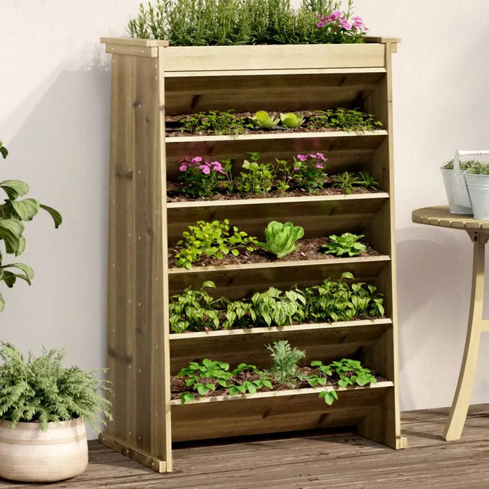 Herb Planter 6-Tier in Impregnated Wood Pine (69 x 40 x 101.5cm) - Little and Giant Explorers vidaXL