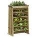 Herb Planter 6-Tier in Impregnated Wood Pine (69 x 40 x 101.5cm) - Little and Giant Explorers vidaXL