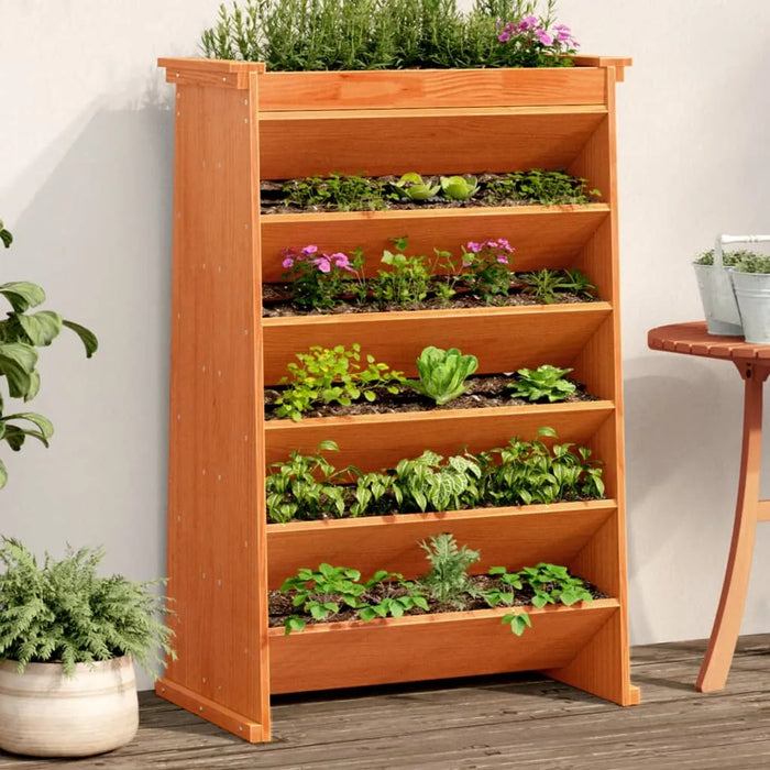 Herb Planter 6-Tier in Wax Brown and Solid Wood Pine (69 x 40 x 101.5cm) - Little and Giant Explorers vidaXL