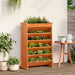 Herb Planter 6-Tier in Wax Brown and Solid Wood Pine (69 x 40 x 101.5cm) - Little and Giant Explorers vidaXL