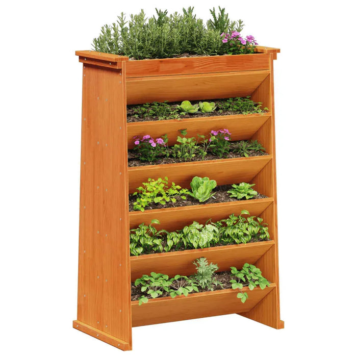 Herb Planter 6-Tier in Wax Brown and Solid Wood Pine (69 x 40 x 101.5cm) - Little and Giant Explorers vidaXL