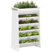 Herb Planter 6-Tier in White and Solid Wood Pine (69 x 40 x 101.5cm) - Little and Giant Explorers vidaXL