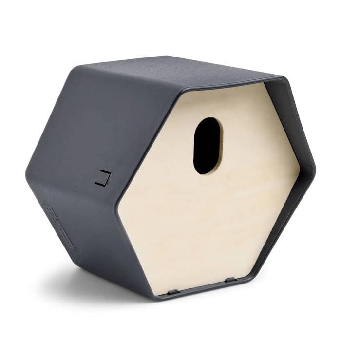 Hive 2 Bird House in Anthracite - Little and Giant Explorers Capi