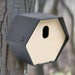 Hive 2 Bird House in Anthracite - Little and Giant Explorers Capi