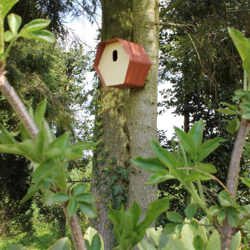 Hive 2 Bird House in Brown - Little and Giant Explorers Capi