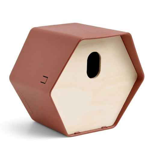 Hive 2 Bird House in Brown - Little and Giant Explorers Capi