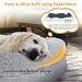 Human Dog Bed with Soft Blanket and Plump Pillow in Grey - Little and Giant Explorers Costway
