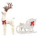 Christmas reindeer and sleigh decoration with white lights and red bows