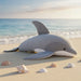 Gray dolphin plush toy in a coastal setting with the sea and seashells in the background