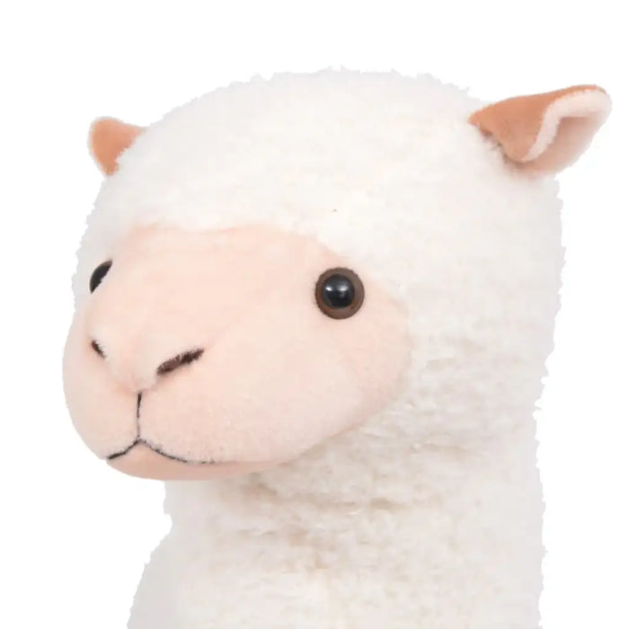 Close-up of a plush toy lamb with a white face and brown ears on a white background