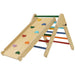 Indoor Climbing Frame for Toddlers | Adjustable Pikler Triangle Set - Little and Giant Explorers AIYAPLAY
