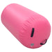 Inflatable Gymnastic Roll with Pump in PVC and Pink - Little and Giant Explorers vidaXL