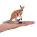 Kangaroo Toy - Realistic Australian Wildlife Model | Educational Wildlife Figurine MOJO FUN - Little and Giant Explorers Mojo Fun