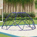 Climbing Dome Blue | Metal Powder-Coated Steel with Bright Colours - Little and Giant Explorers vidaXL