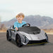 Kids Licensed Lamborghini Autentica in Grey 12V - Little and Giant Explorers AIYAPLAY