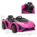 Licensed Lamborghini Sian with Remote, Music, Lights and MP3 12V in Pink - Little and Giant Explorers HOMCOM