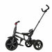 Rito 3-in-1 Tricycle Deluxe in Burgundy - Little and Giant Explorers BigBuy Fun