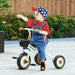 Tricycle with Adjustable Seat, Basket and Bell - Little and Giant Explorers AIYAPLAY