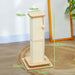 3-in-1 Cat Scratching Post with Track Ball Toy 67cm - Little and Giant Explorers PawHut