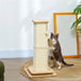 3-in-1 Cat Scratching Post with Track Ball Toy 67cm - Little and Giant Explorers PawHut
